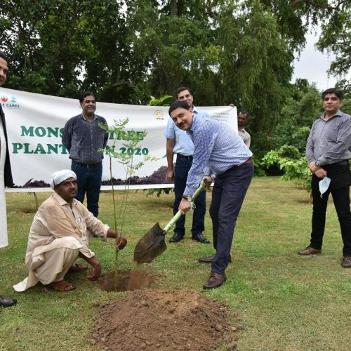 Nestlé Pakistan initiates monsoon tree plantation drive with Parks & Horticulture Authority 