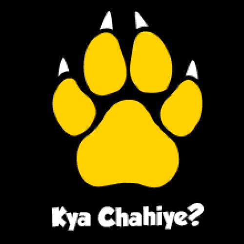 Cheetay.pk on a Trajectory of Growth and Expansion